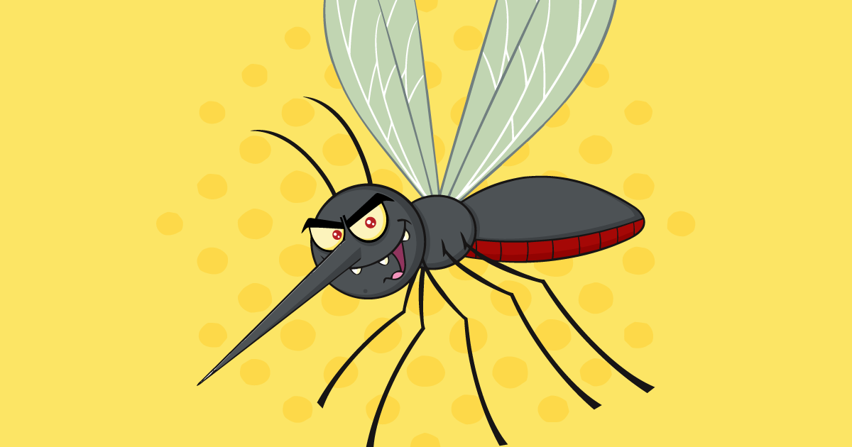 mosquito