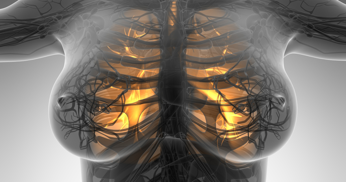 anatomy with highlighted lungs